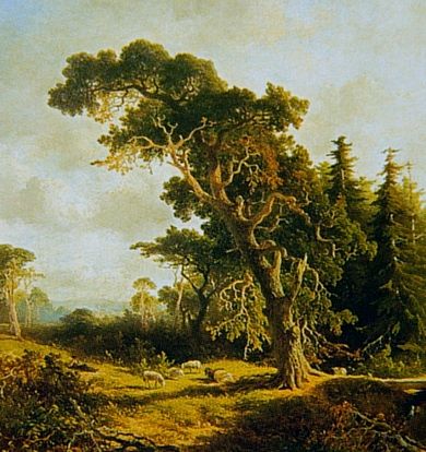 https://nl.wikipedia.org/wiki/Duizendjarige_den